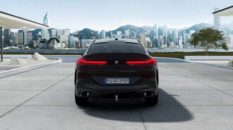 BMW X6 (Bild 3/5)