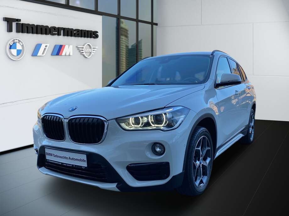 BMW X1 (Bild 1/20)