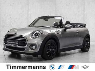 MINI Cooper Cabrio (Bild 1/19)
