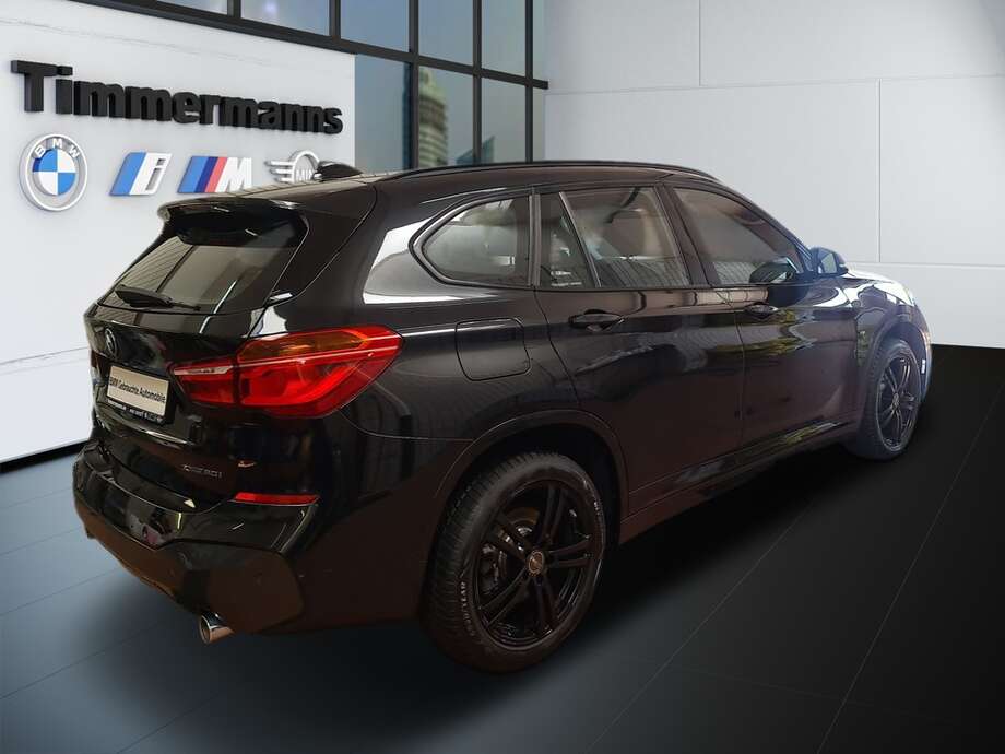BMW X1 (Bild 6/24)