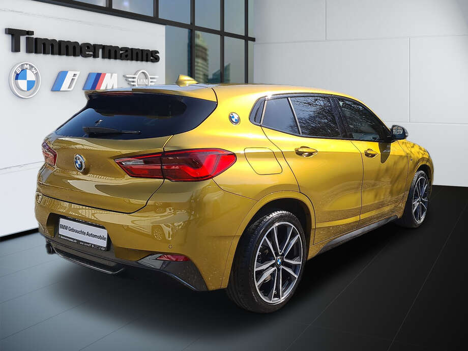 BMW X2 (Bild 6/25)