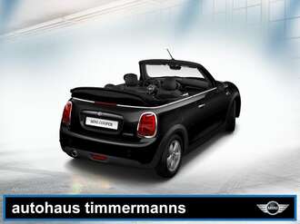 MINI Cooper Cabrio (Bild 2/5)